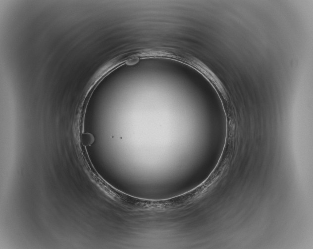 X0000116671002200912141337