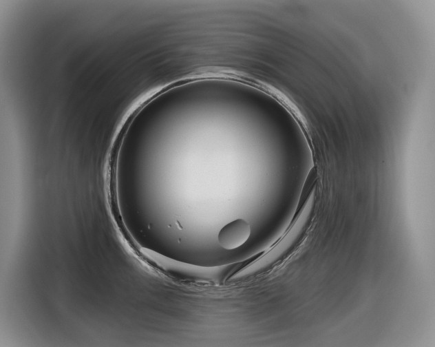 X0000116671003200912141337