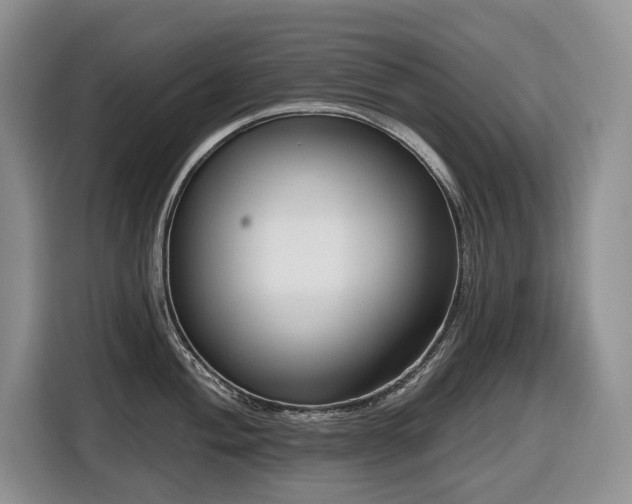 X0000116671004200912141337