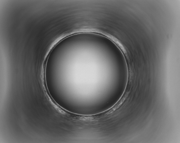 X0000116671006200912141337