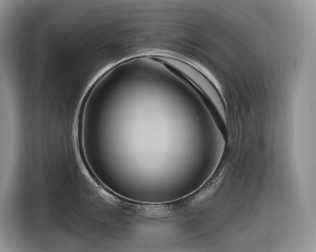 X0000116671007200912141337