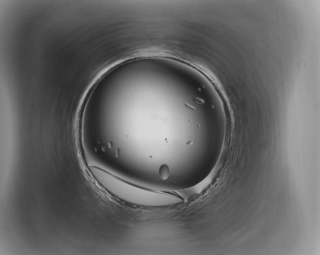 X0000116671008200912141337