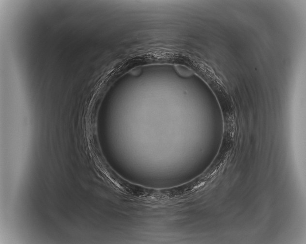 X0000116671009200912141336