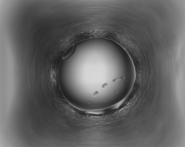 X0000116671010200912141336