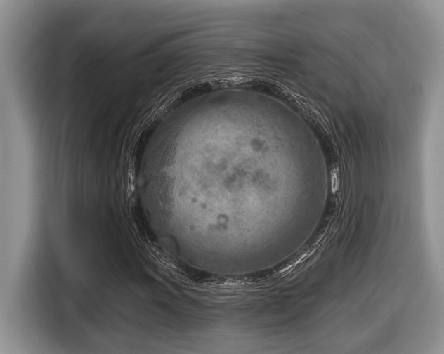 X0000116671011200912141336