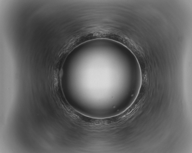 X0000116671012200912141336