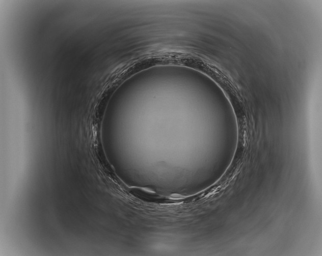 X0000116671013200912141336