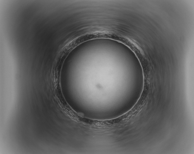 X0000116671015200912141336