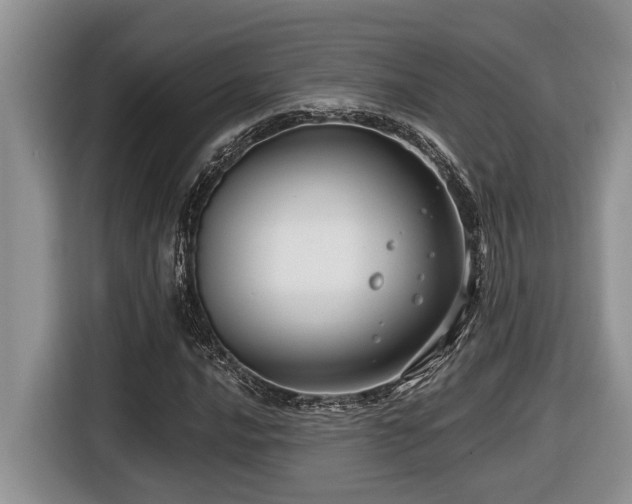 X0000116671016200912141336