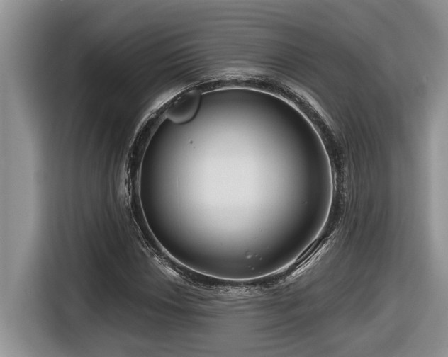 X0000116671018200912141336