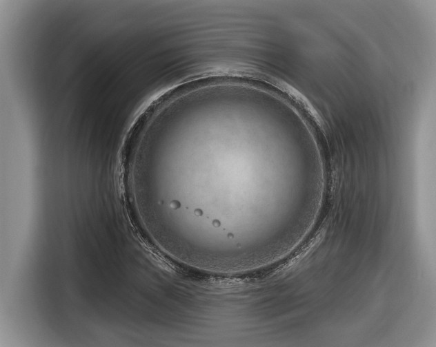 X0000116671019200912141336