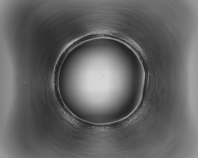 X0000116671020200912141336