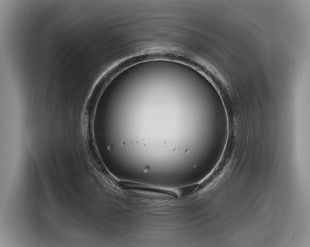 X0000116671021200912141336