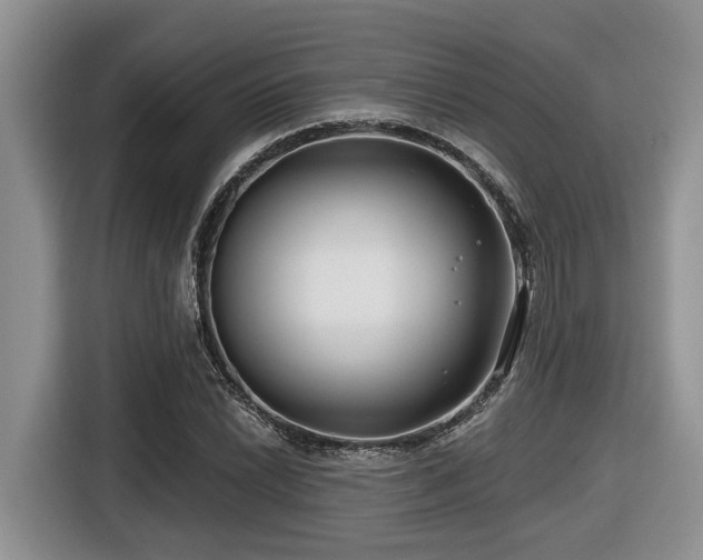 X0000116671022200912141336