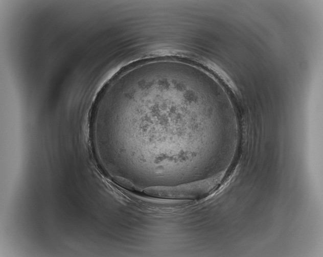 X0000116671023200912141336