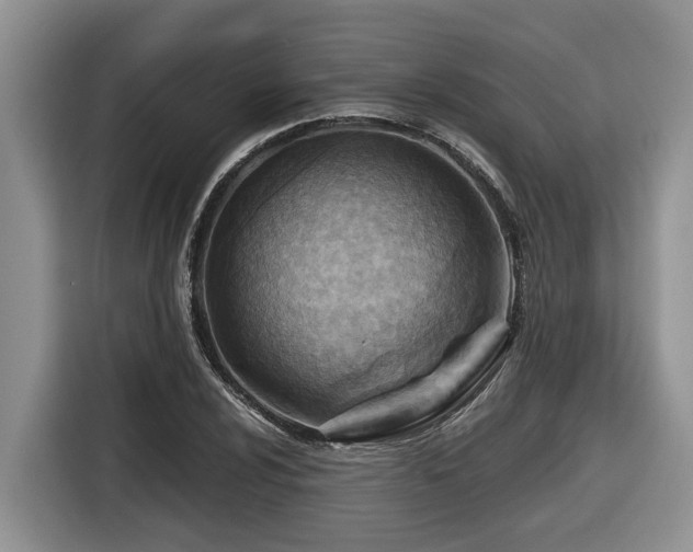 X0000116671024200912141336