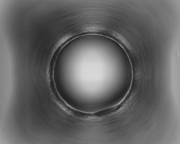 X0000116671026200912141336