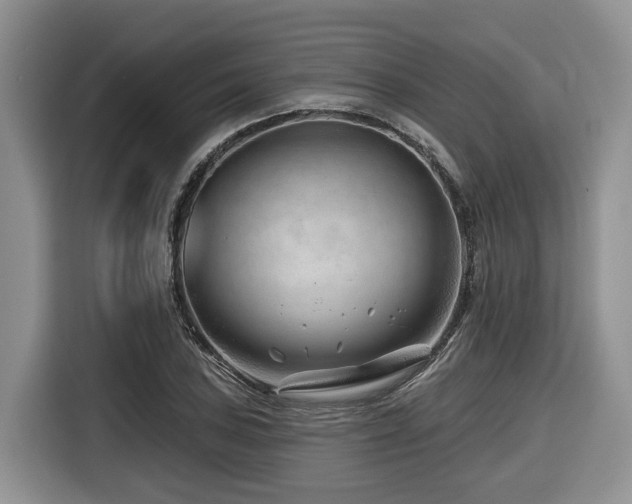 X0000116671027200912141336