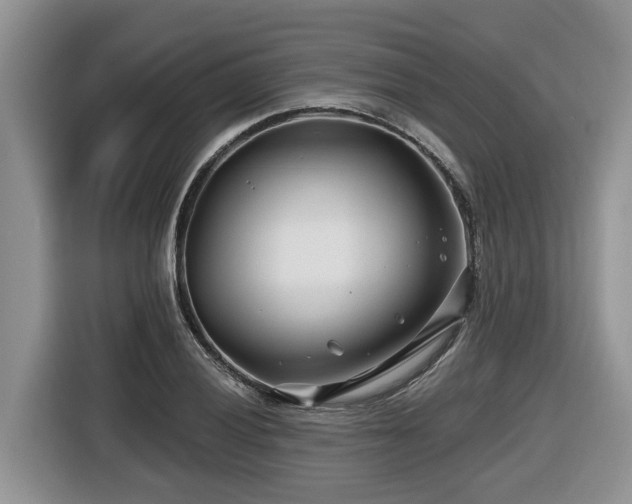 X0000116671028200912141336