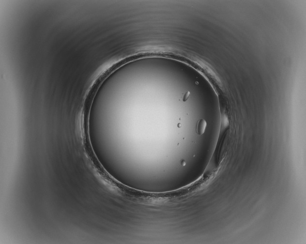 X0000116671030200912141336