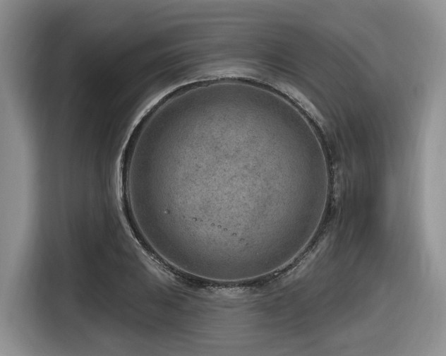 X0000116671031200912141336