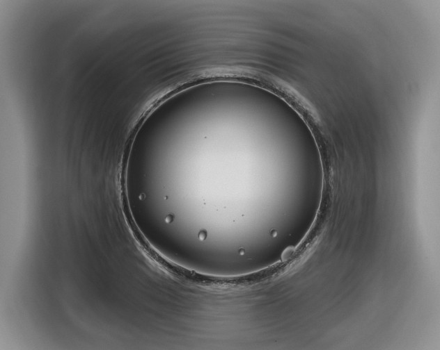 X0000116671033200912141336