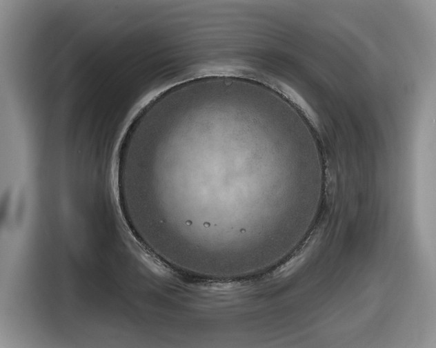 X0000116671035200912141336