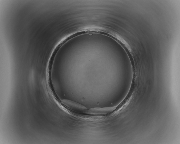 X0000116671037200912141336