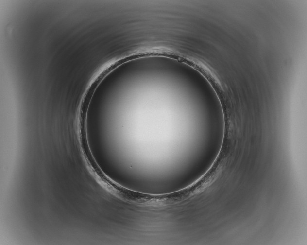 X0000116671038200912141336