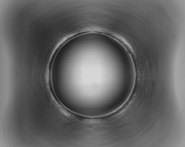 X0000116671040200912141336