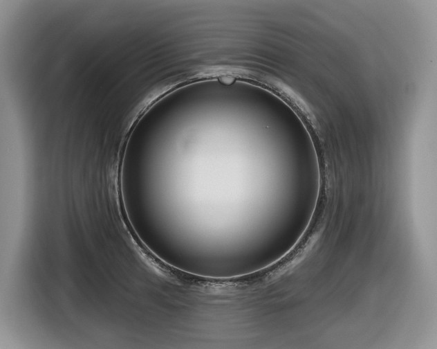 X0000116671041200912141336