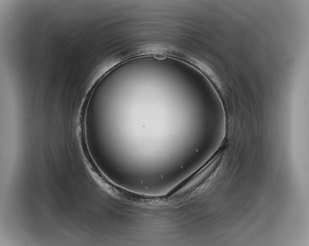 X0000116671042200912141336