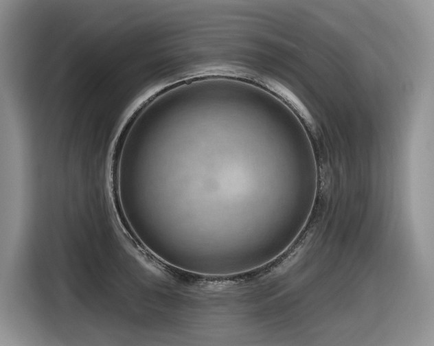 X0000116671043200912141336