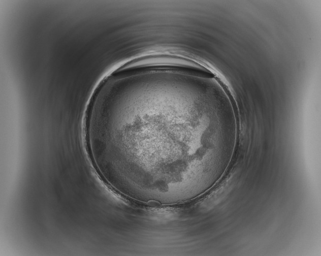 X0000116671045200912141336