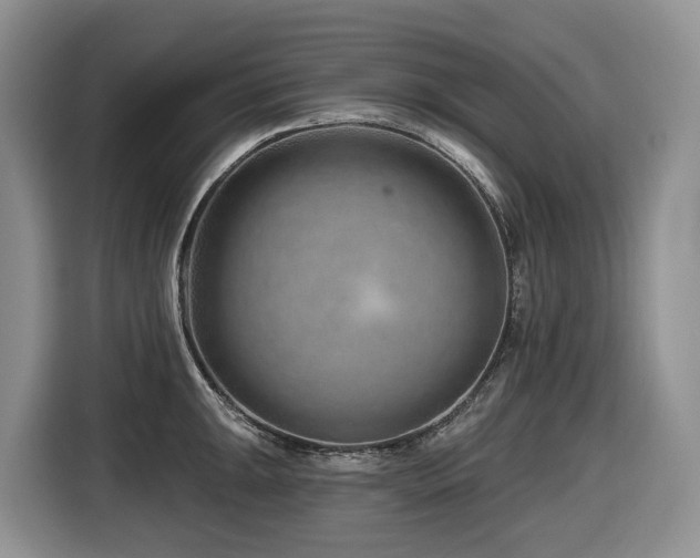 X0000116671047200912141336