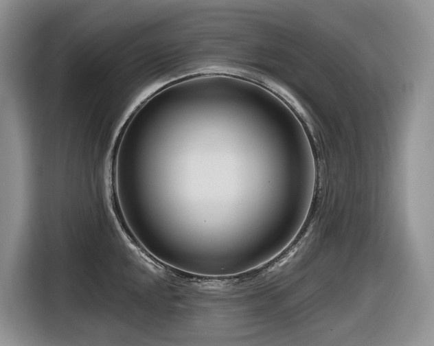 X0000116671048200912141336