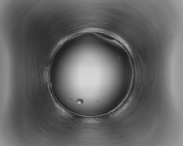 X0000116671049200912141336