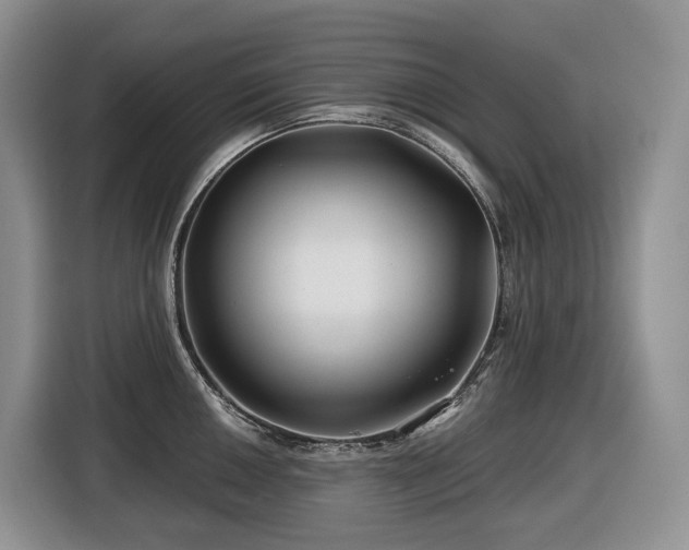 X0000116671050200912141336