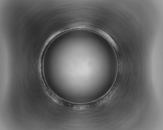 X0000116671051200912141337