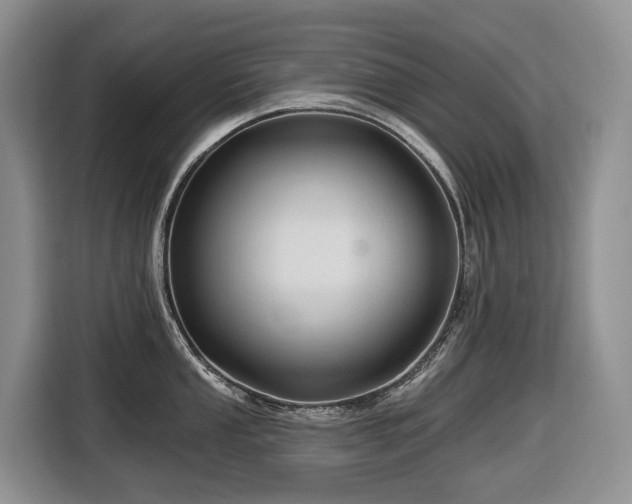 X0000116671053200912141337