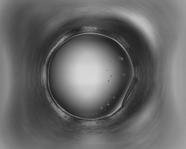 X0000116671054200912141337