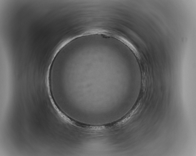 X0000116671055200912141337