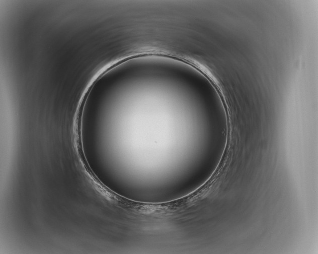 X0000116671056200912141337