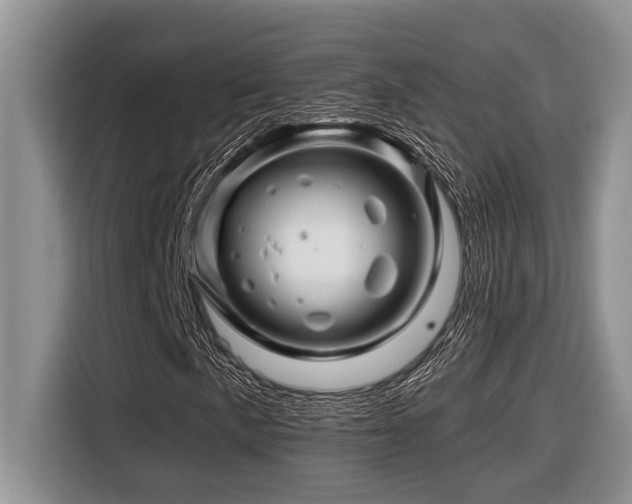 X0000116671057200912141336