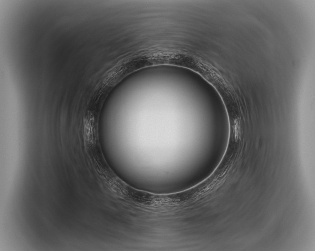 X0000116671059200912141336