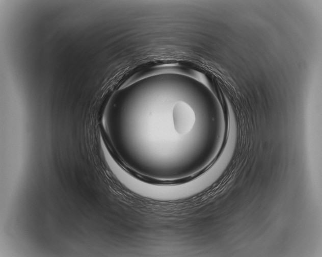 X0000116671060200912141336