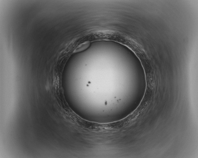 X0000116671061200912141336