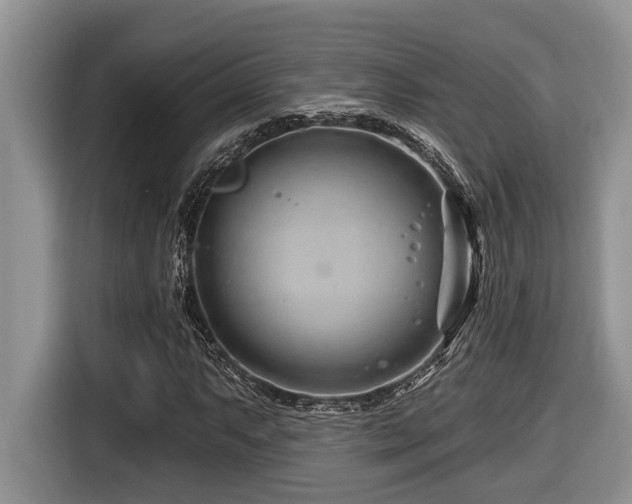 X0000116671063200912141336