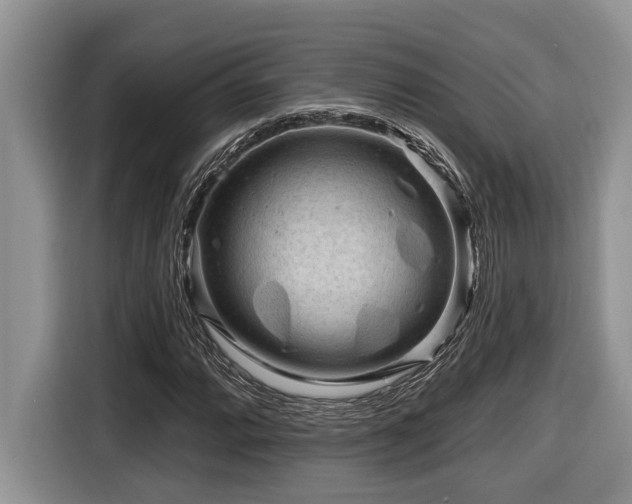 X0000116671064200912141336