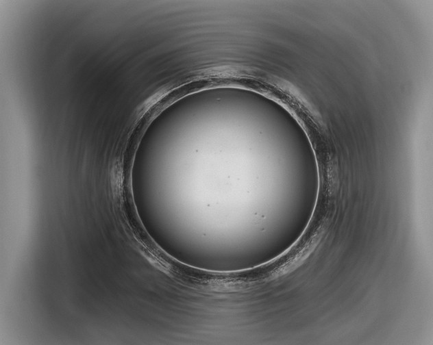 X0000116671065200912141336